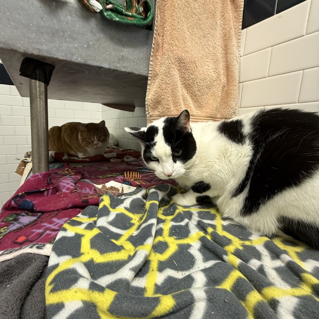 Photo of QZ and Freddy 4