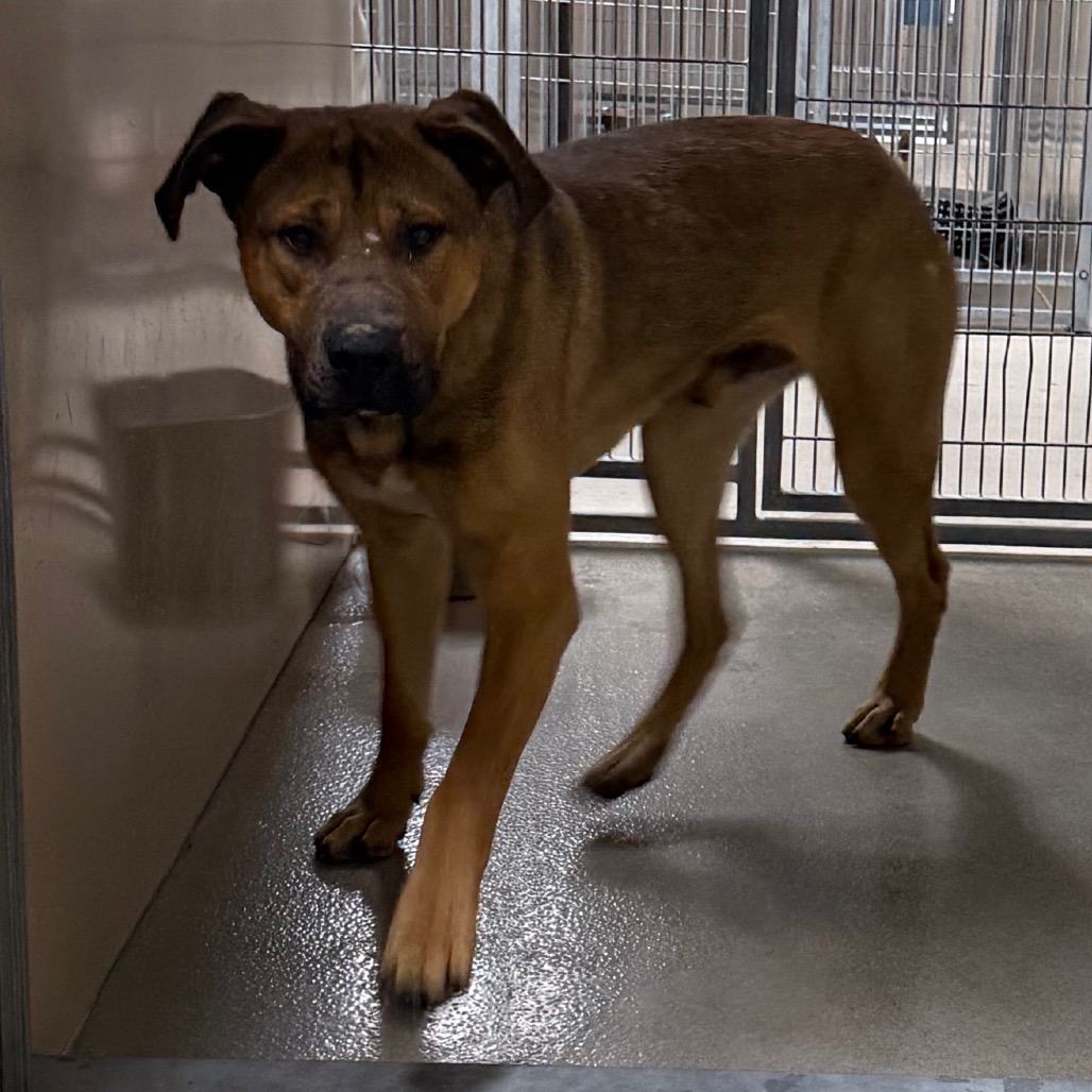 Kennel#20's preview photo