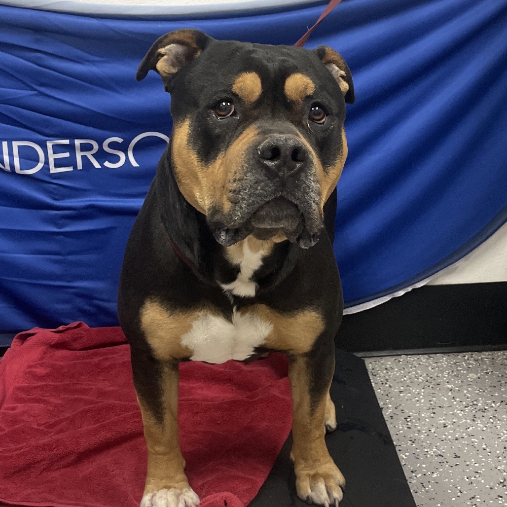 Mercury — thumbnail 2