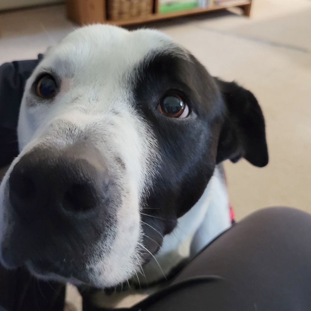 Lloyd — thumbnail 4