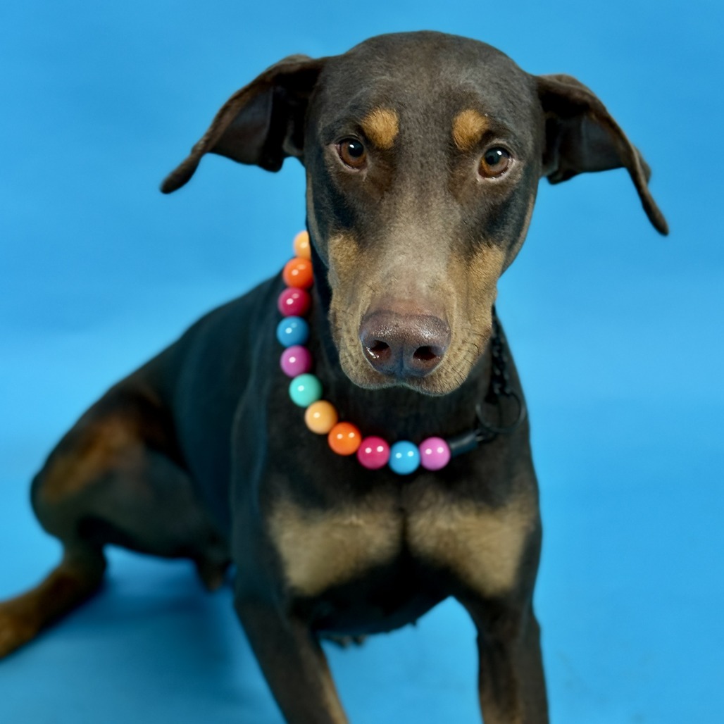 Riley — thumbnail 5