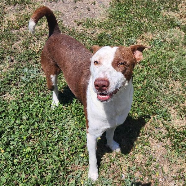Zeus photo 7