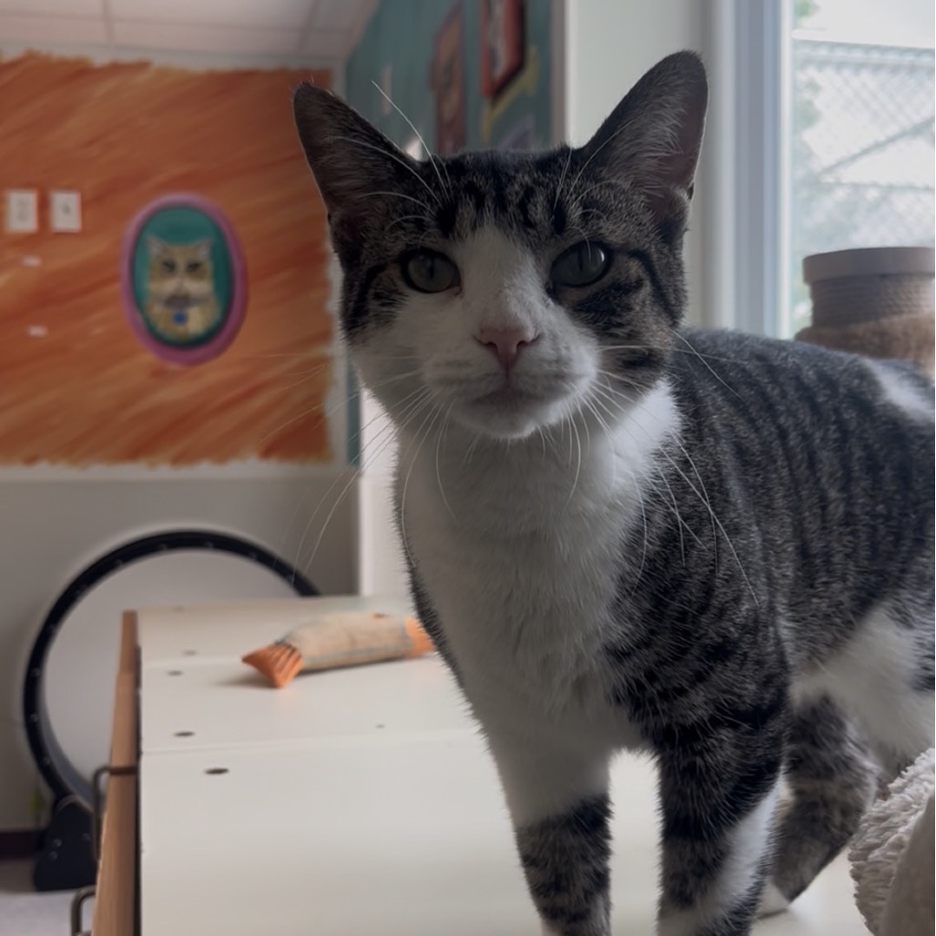 Ella 