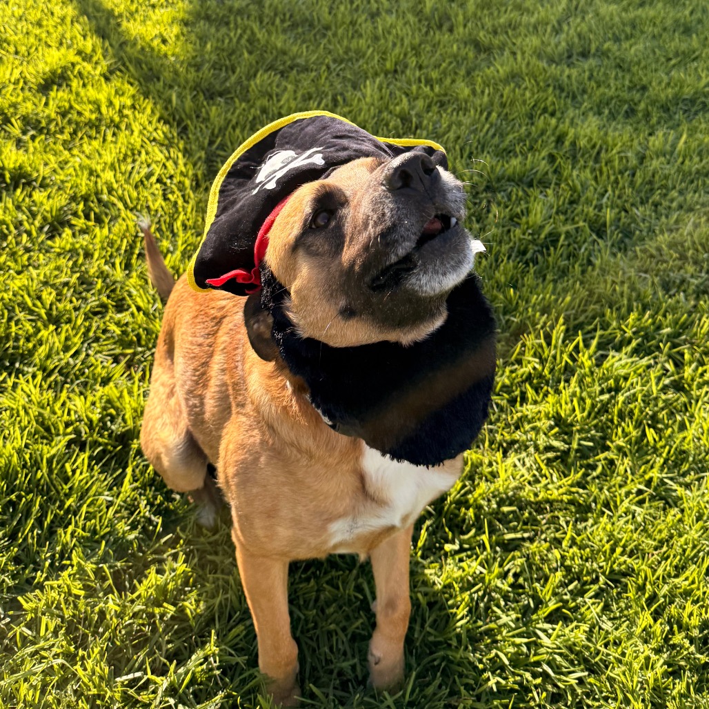 Bubz, photo 32