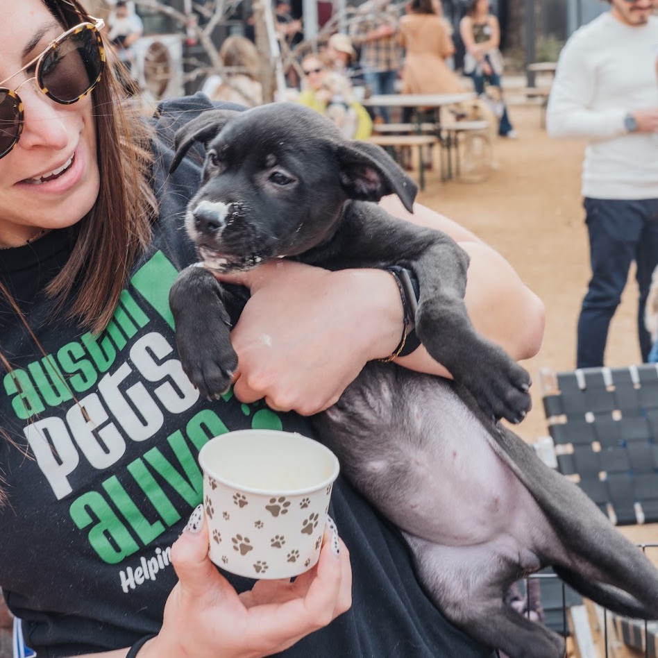 Darling Daffodil — thumbnail 9