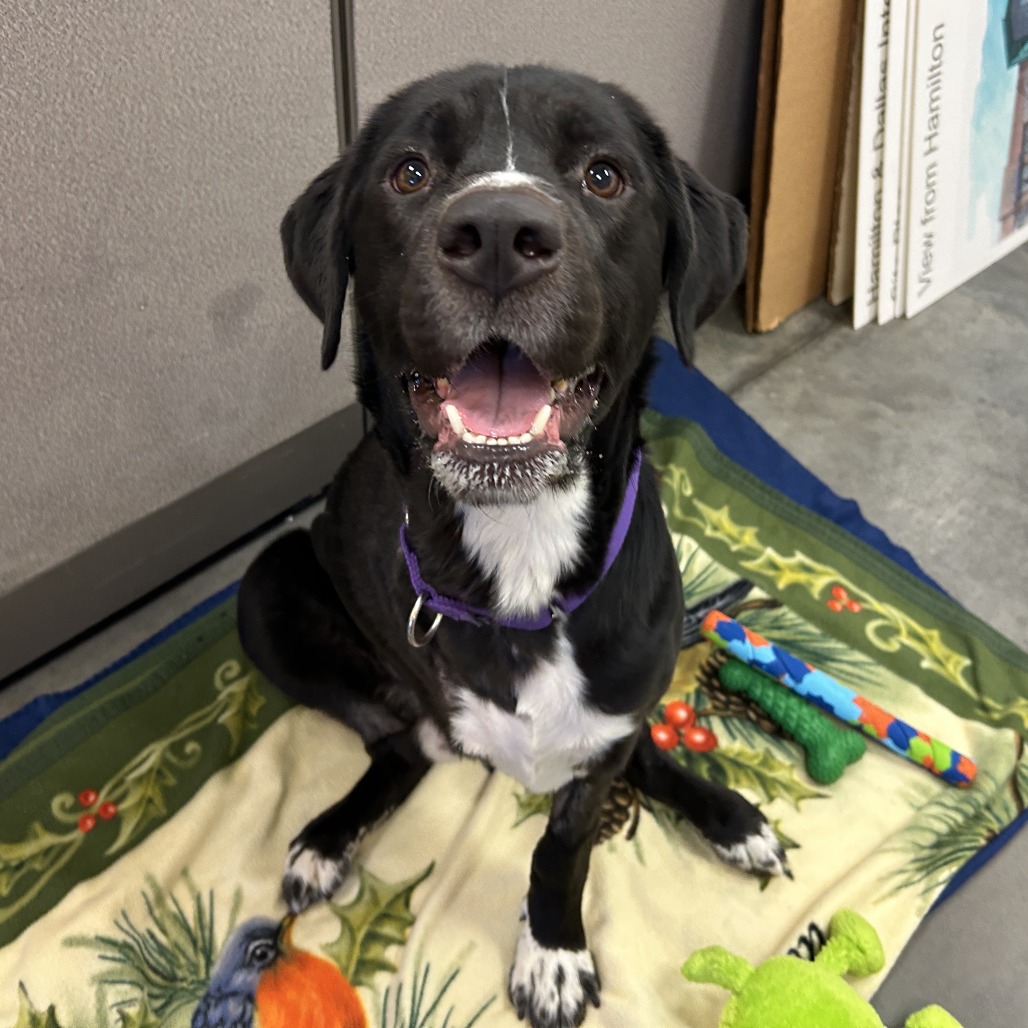 Photo of T.L. Frank 6