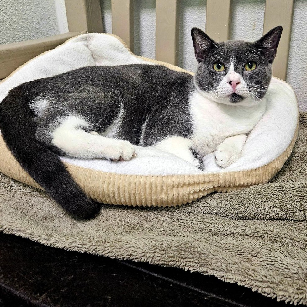 Mister Ralph — thumbnail 10