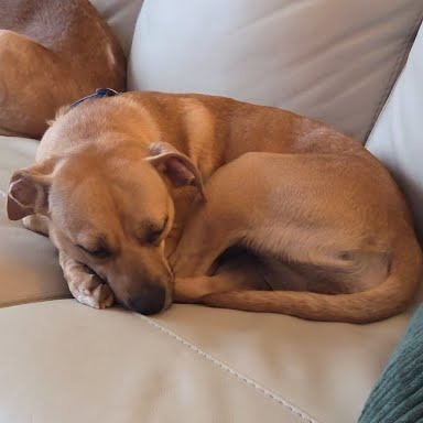 Twinkle Toes — thumbnail 4