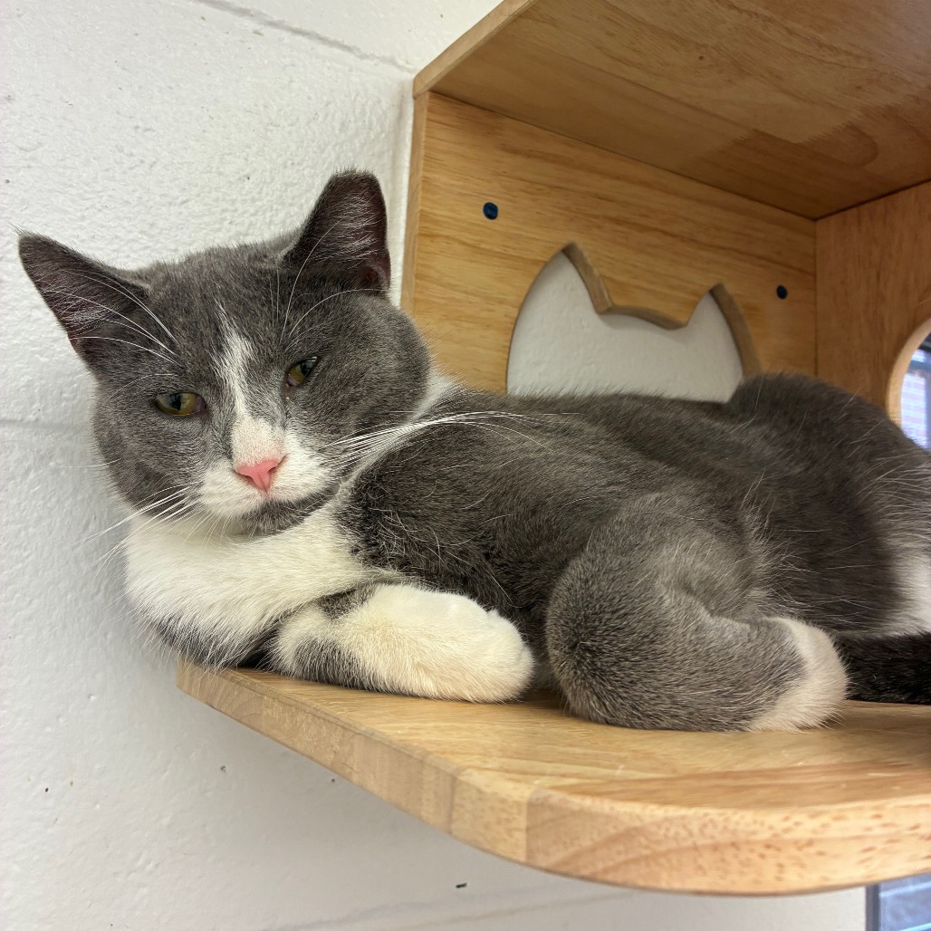 Greg — thumbnail 4