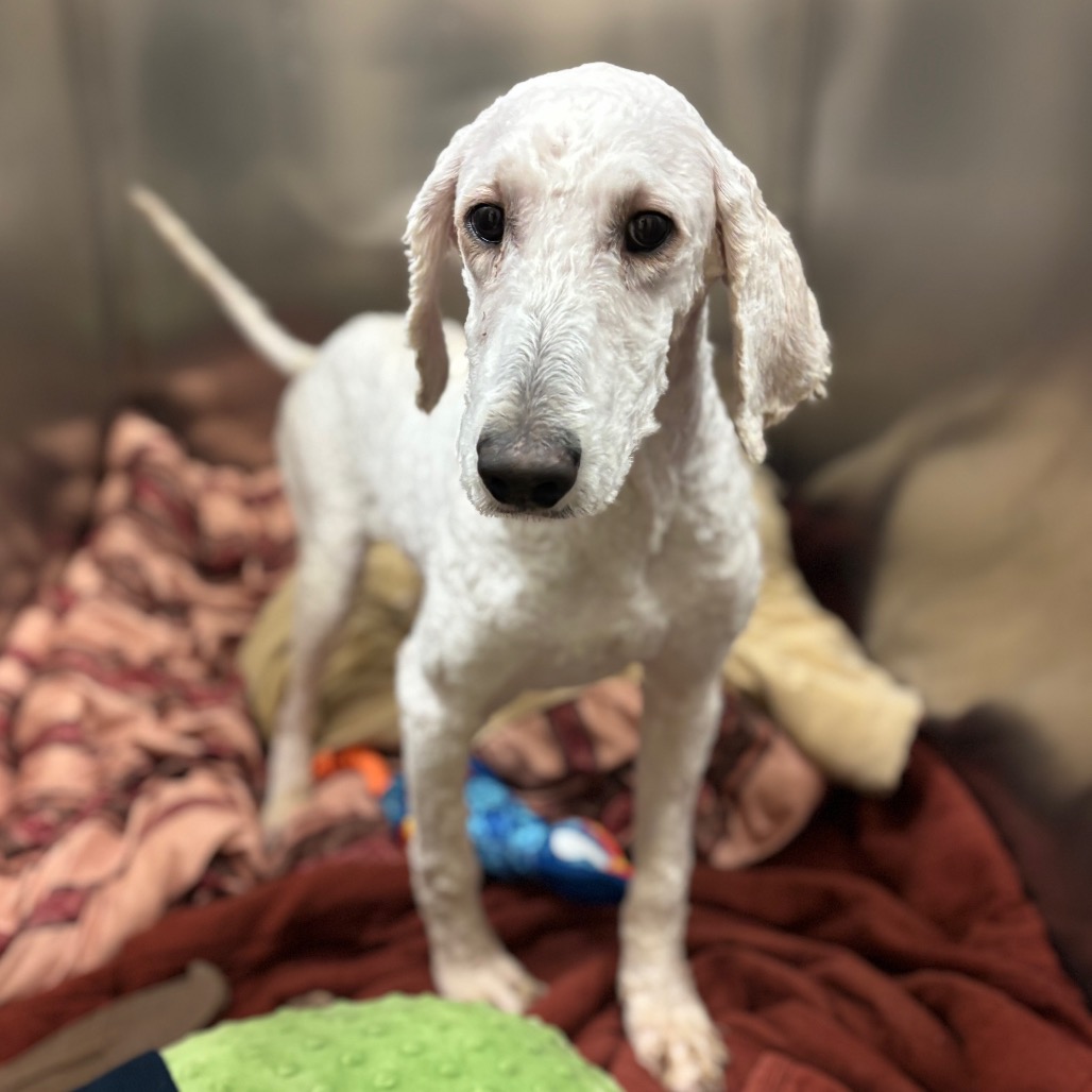 169208c866c695882ab18859d2a09ae1