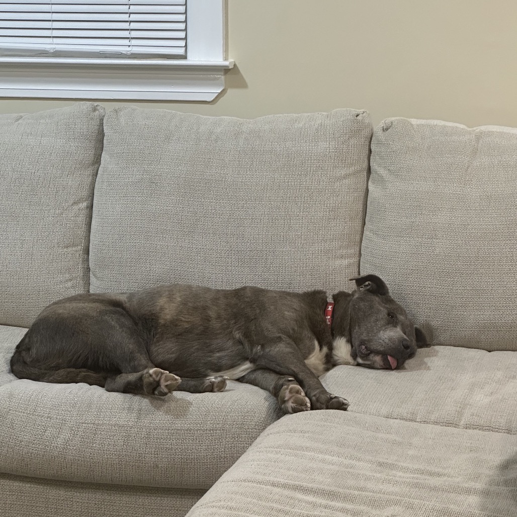 Walter, photo 7