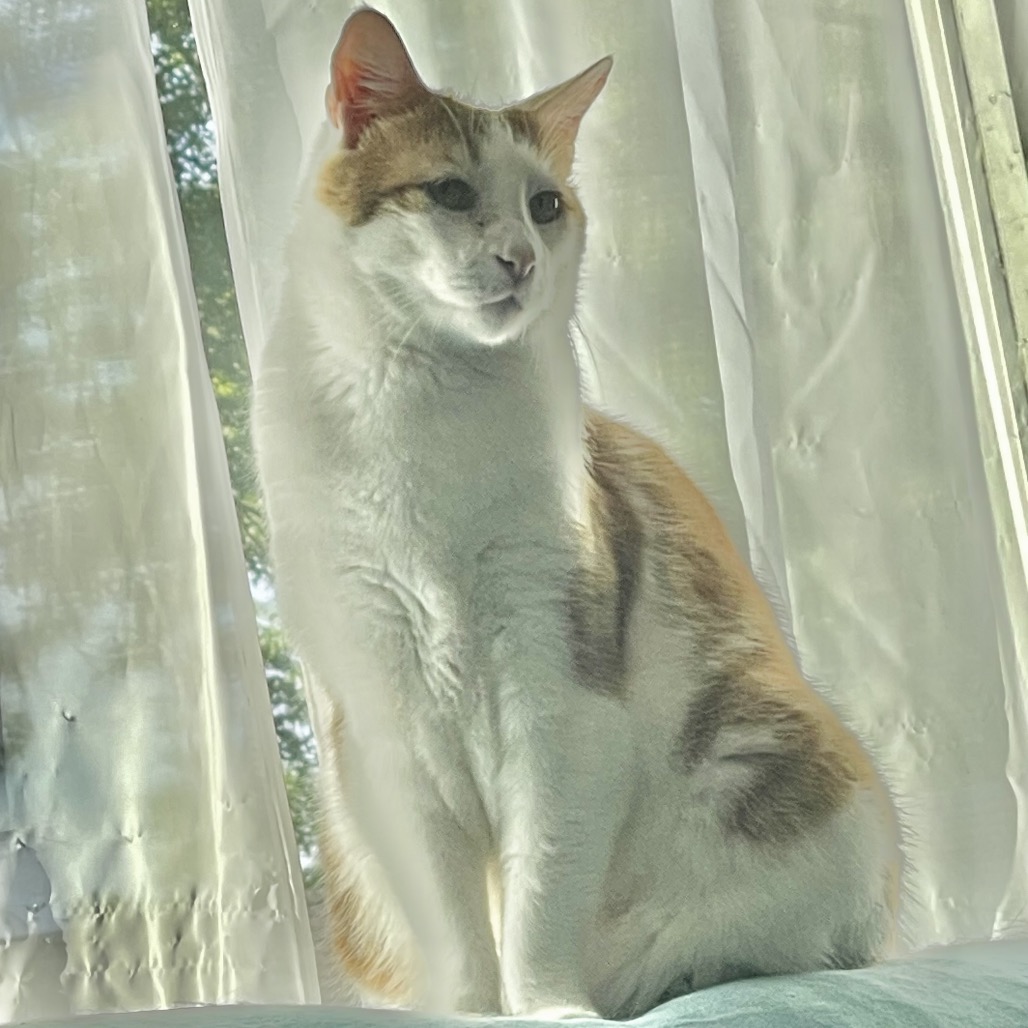Tigger
