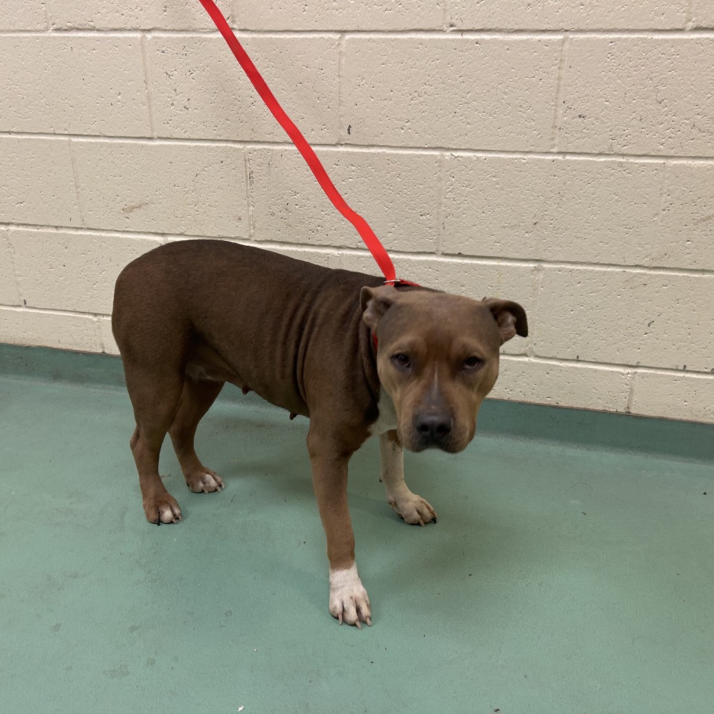 Lily — thumbnail 2