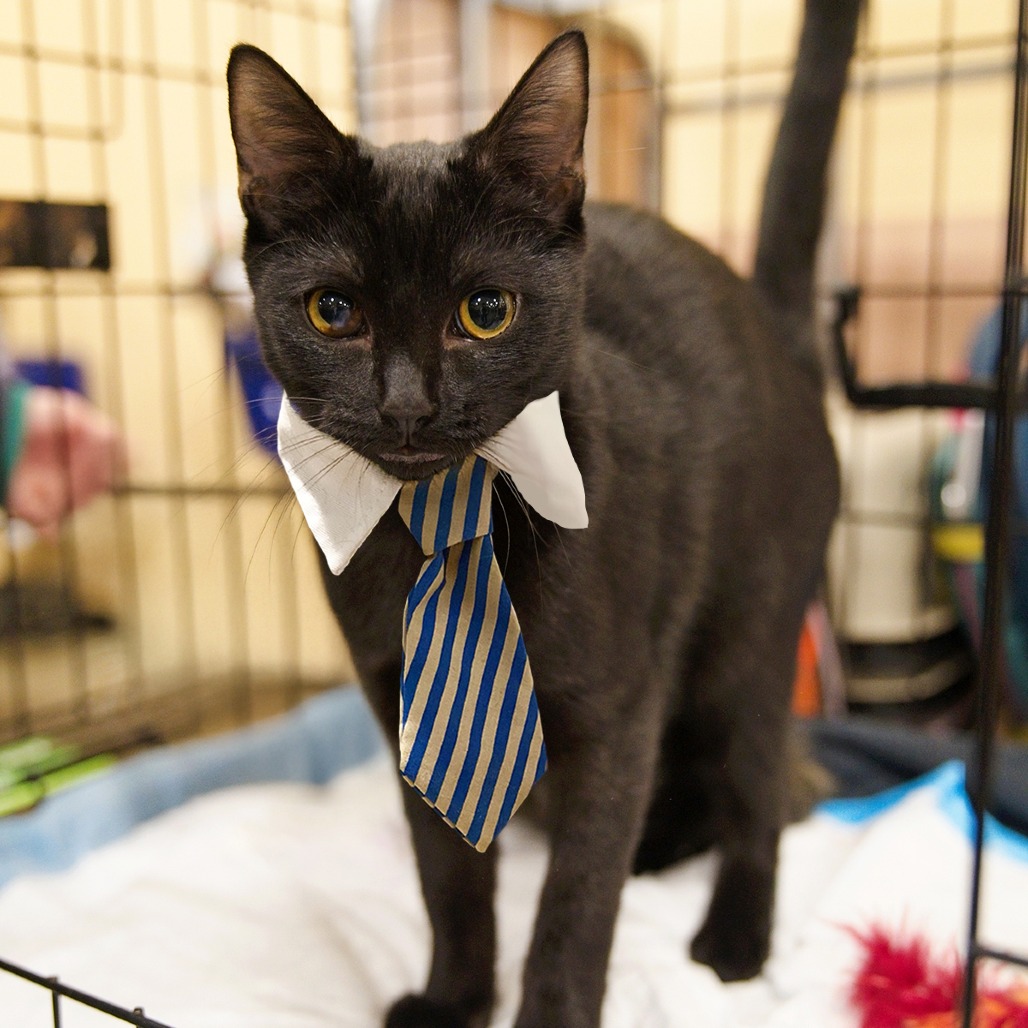 Billy — thumbnail 2