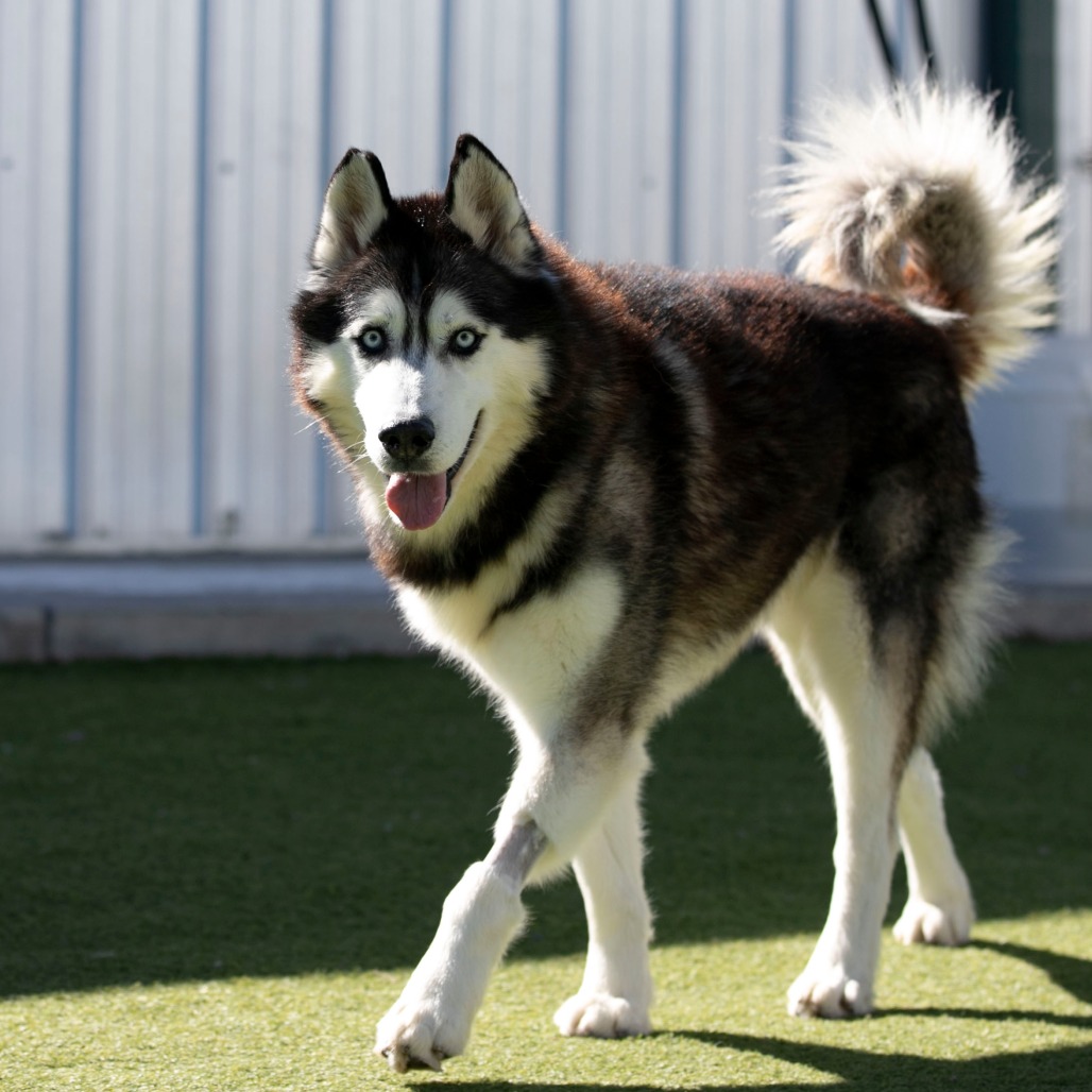 Oliver (F26-09), photo 13