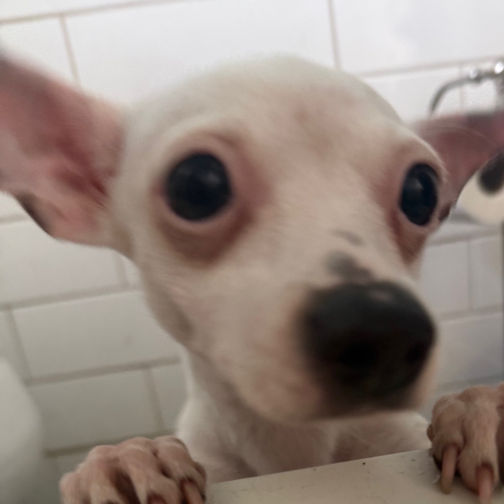 MINNIE, photo 9