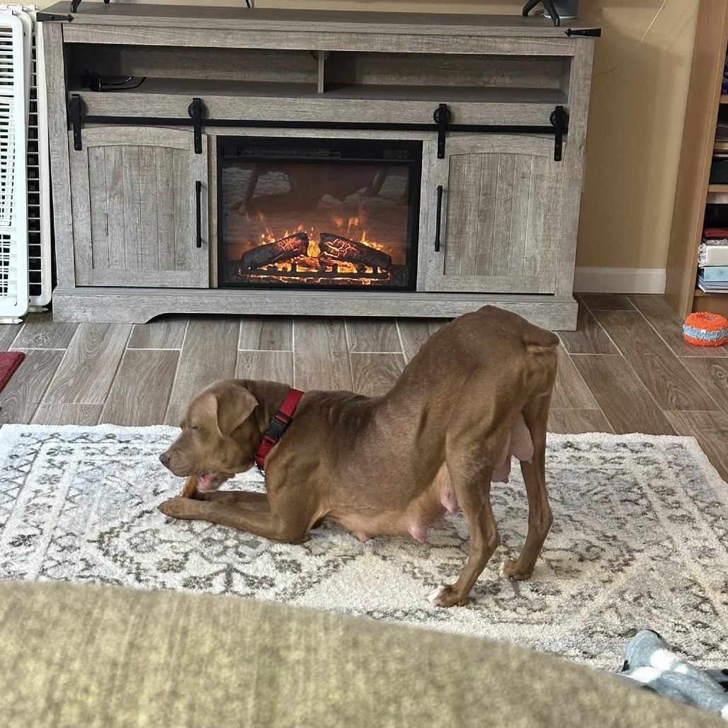 Petra — thumbnail 5