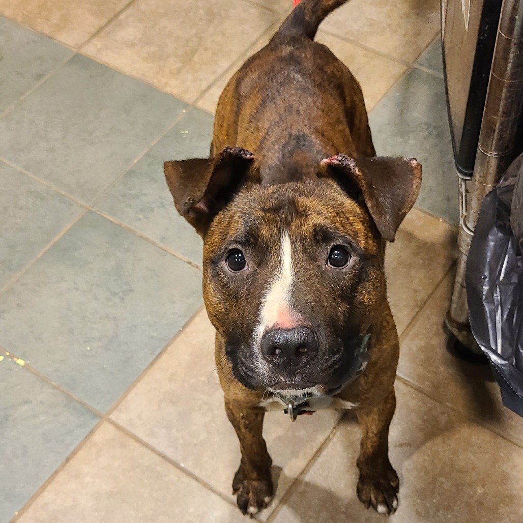 Titus — thumbnail 2