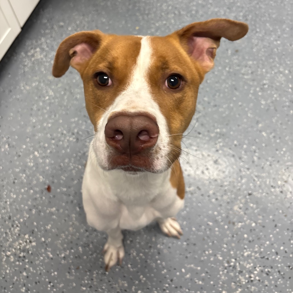 Woody-Foster — thumbnail 4