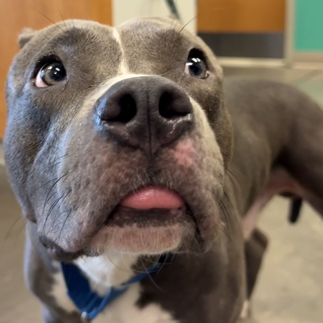 Photo of Blep 4
