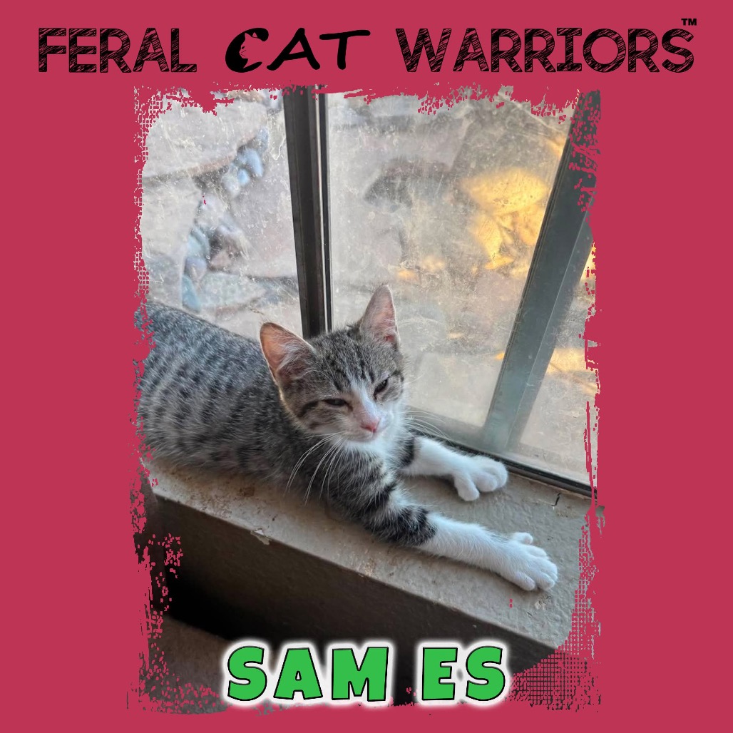 Sam MS