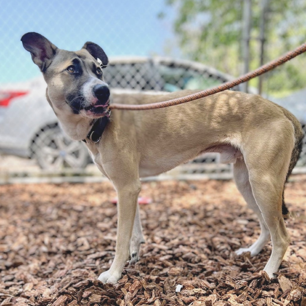 Payton — thumbnail 3