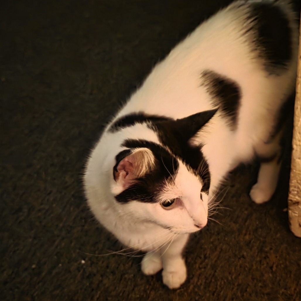 Tallulah photo 4