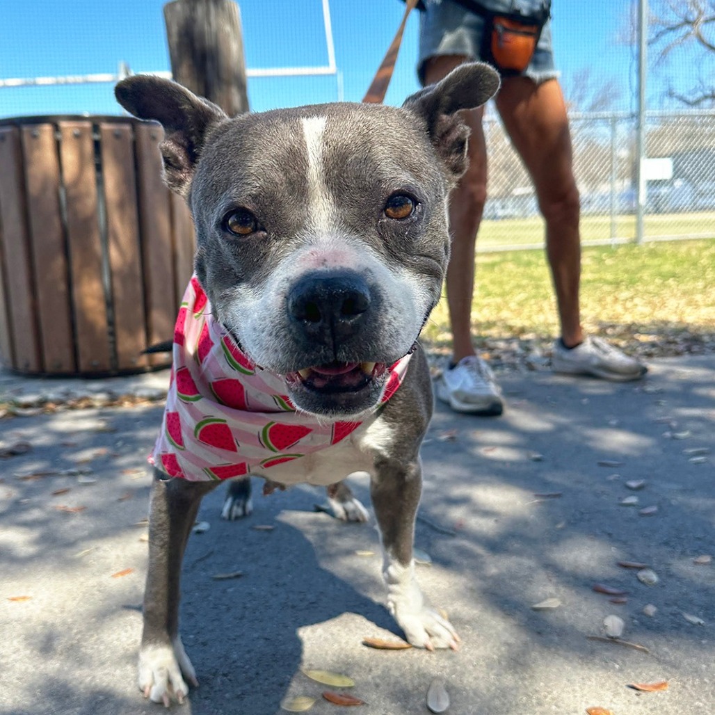 Goddess — thumbnail 7