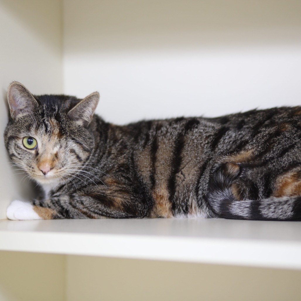 Christie Blinkley — thumbnail 2