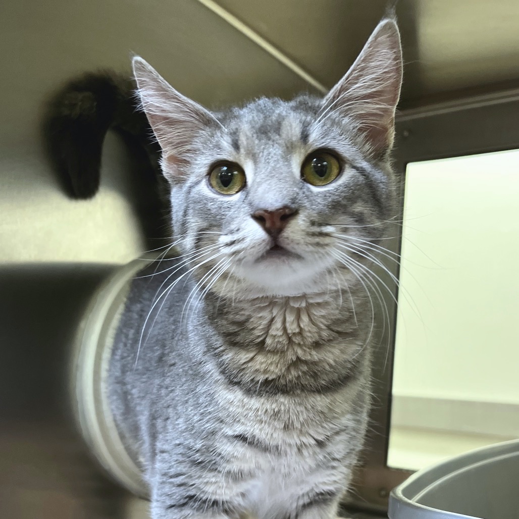 36f0238bdc9abd466f8c067527f1049a