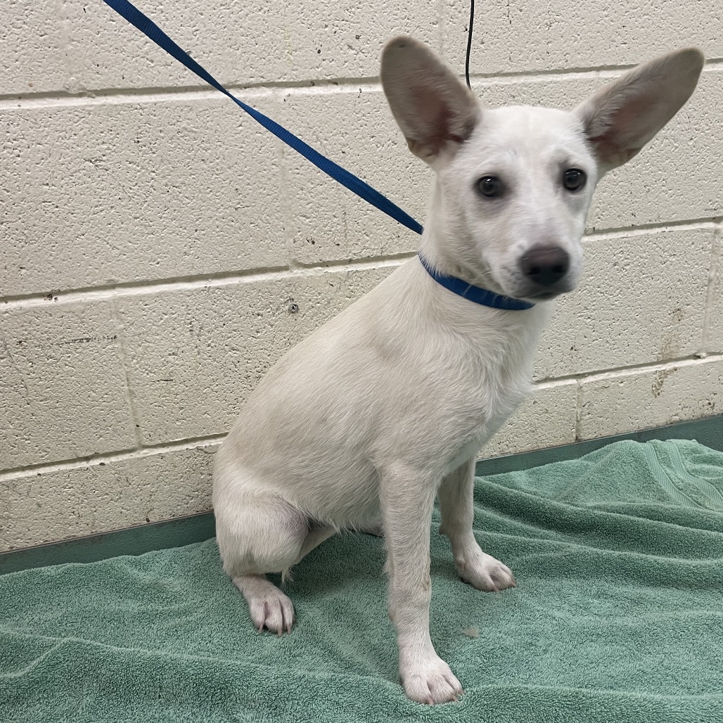 Wendy — thumbnail 2