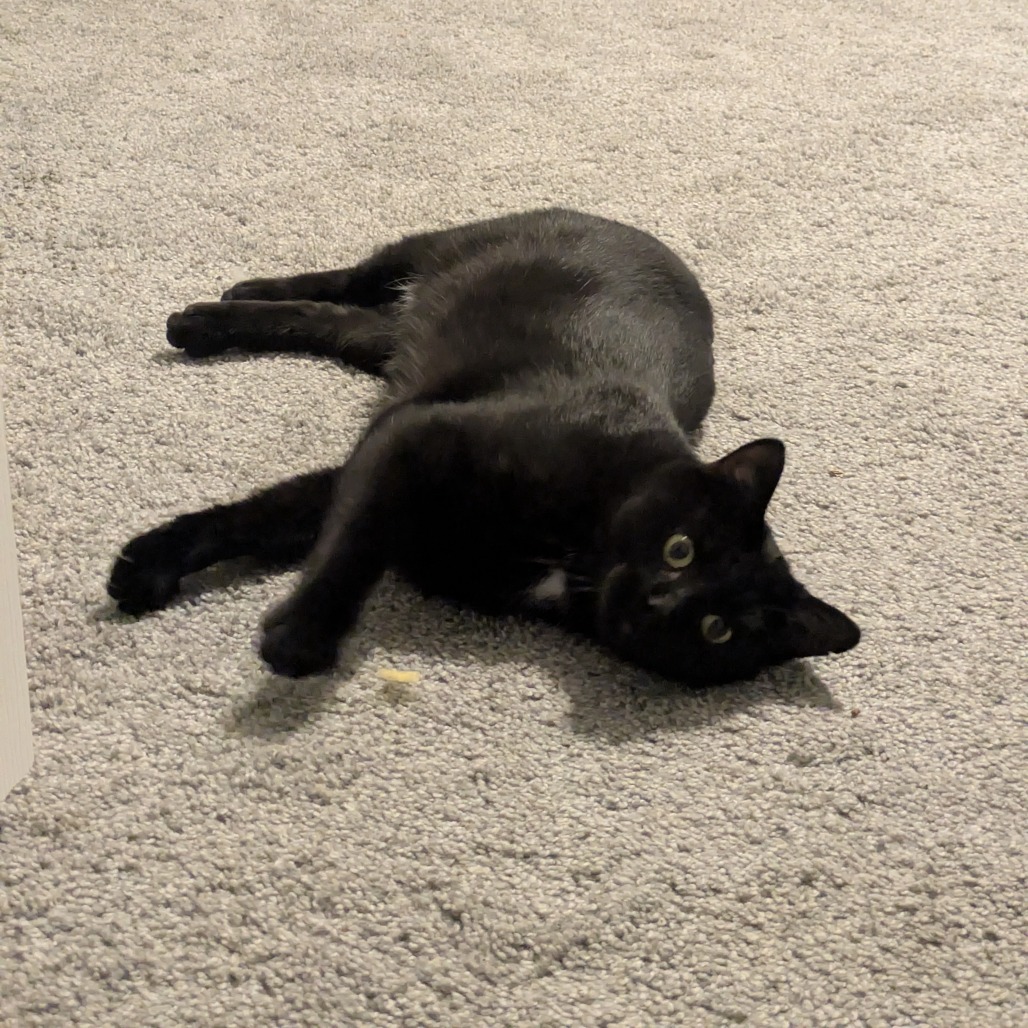 Parker