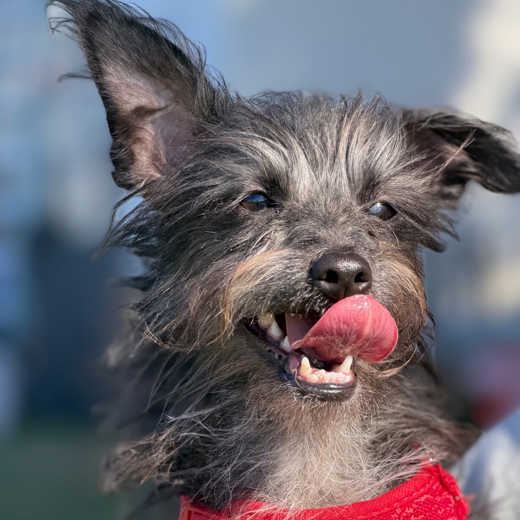 Baxter