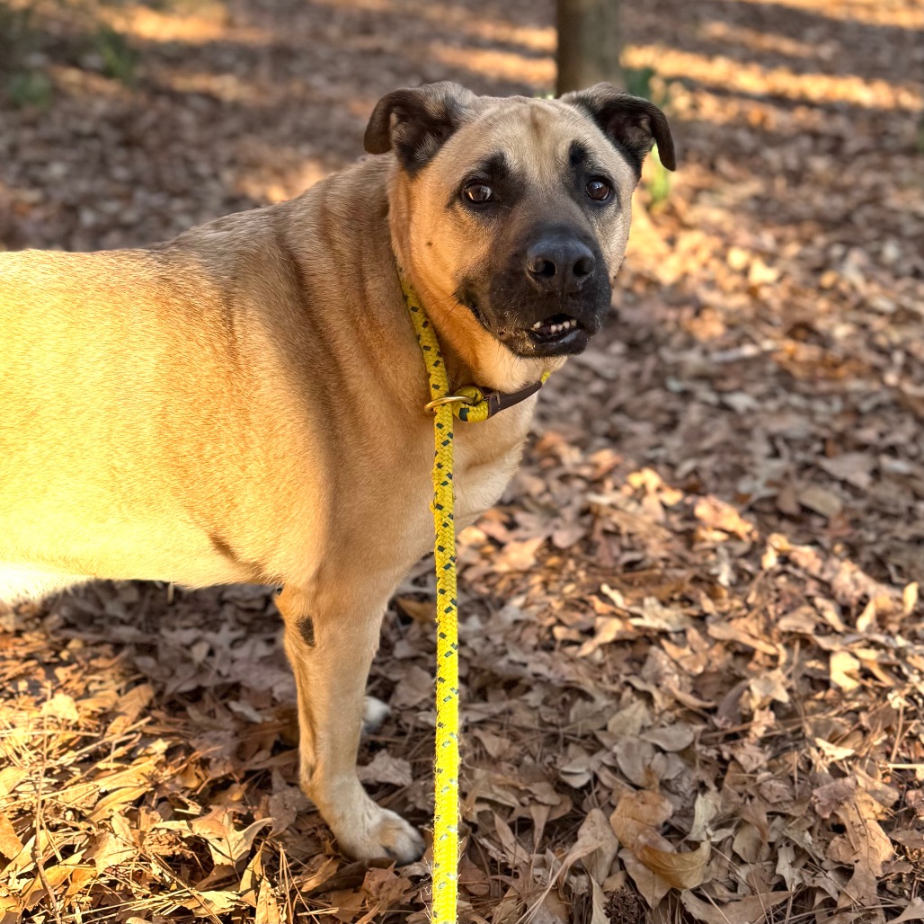 Winston (I have a Secret Crush!), additional photo