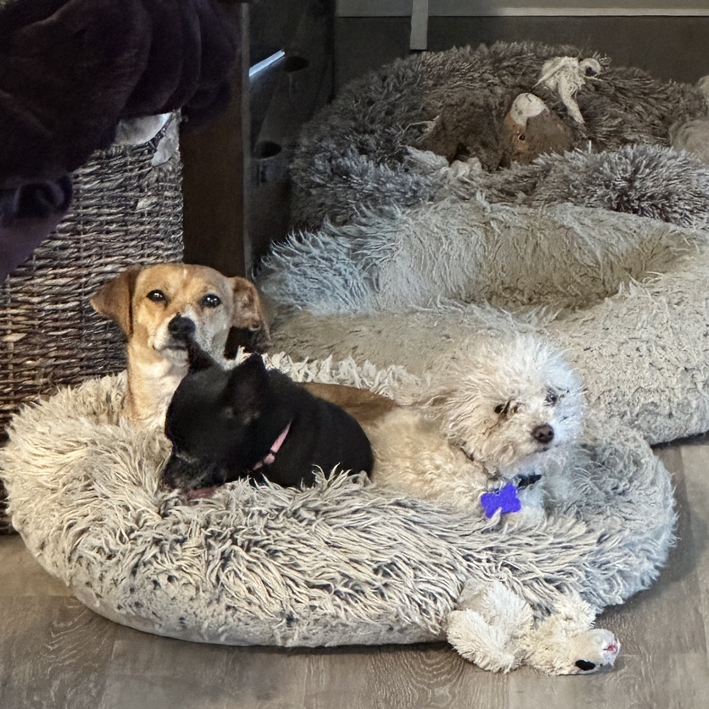 Carly — thumbnail 4