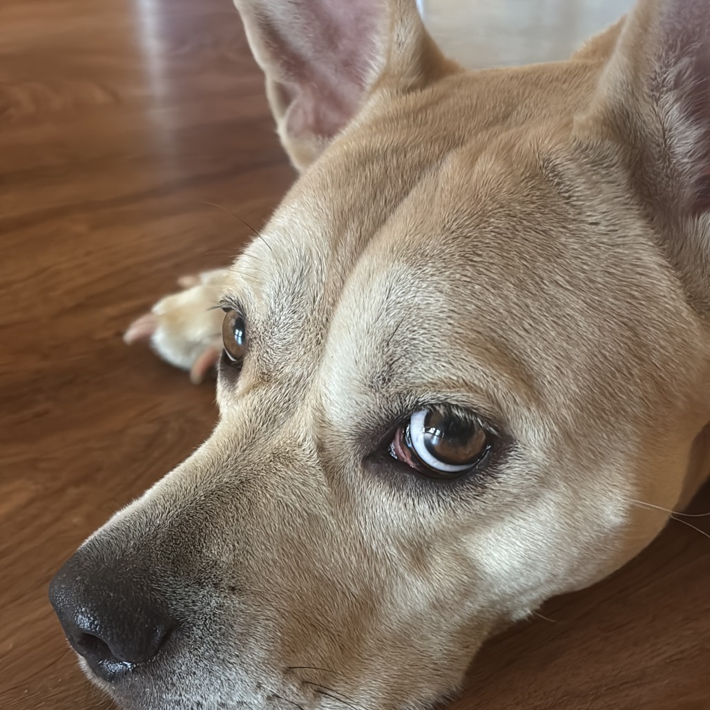 Hope, photo 10
