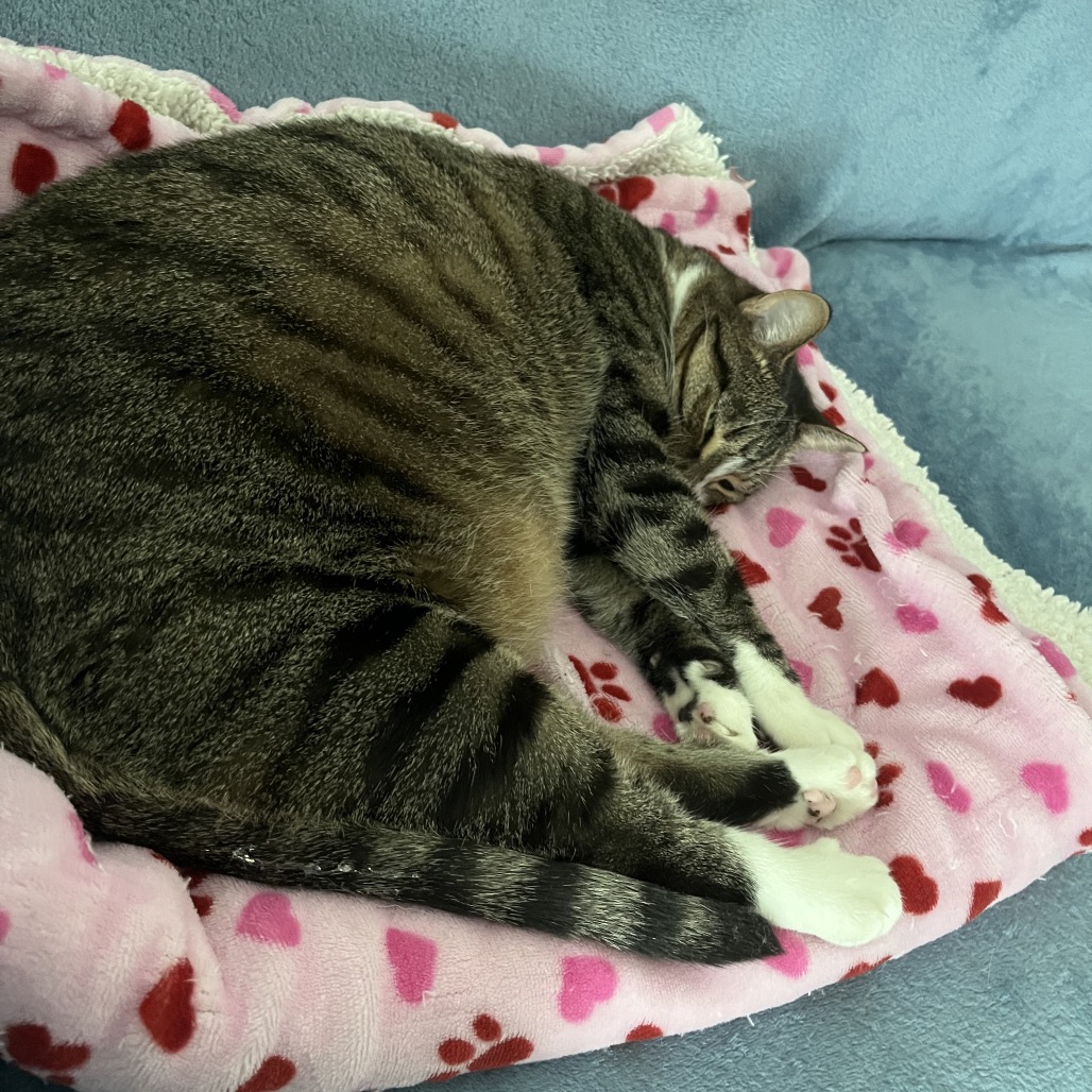Winnie, photo 10
