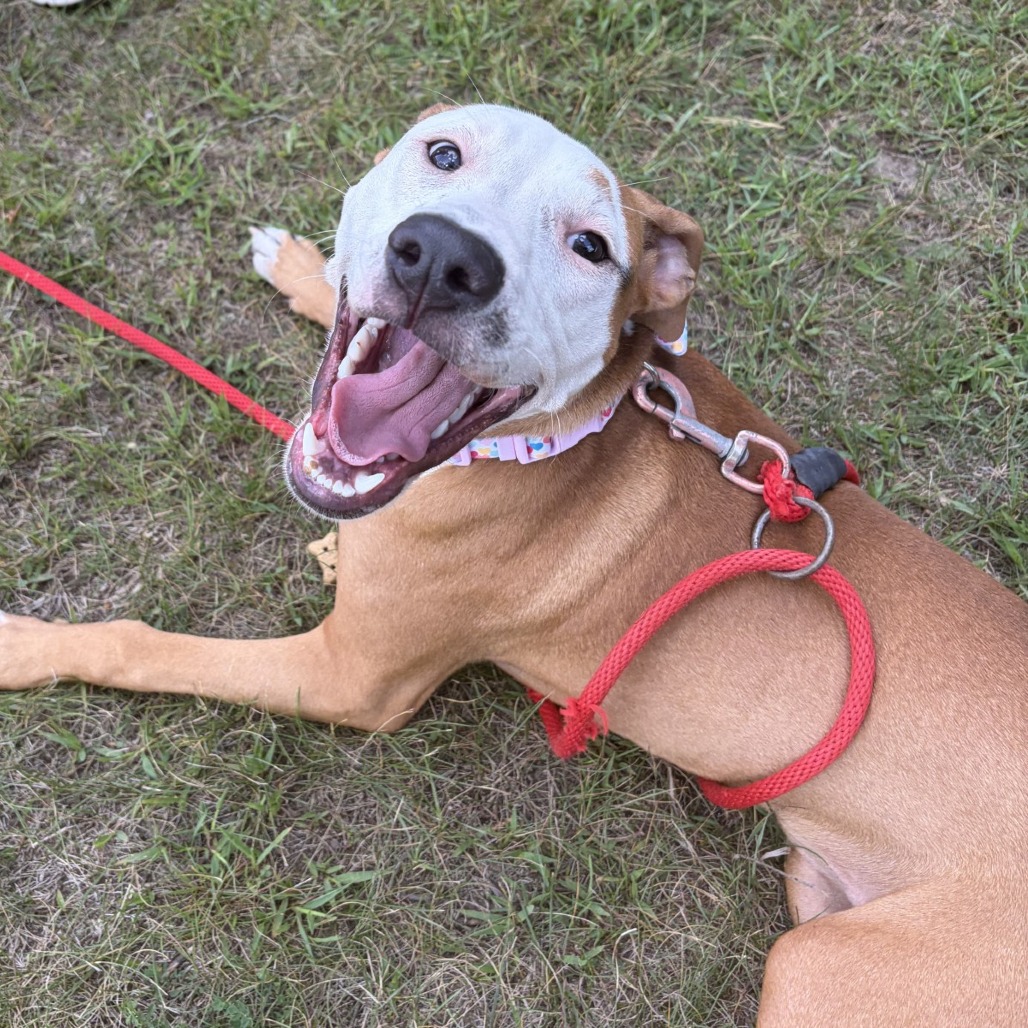 Lupita