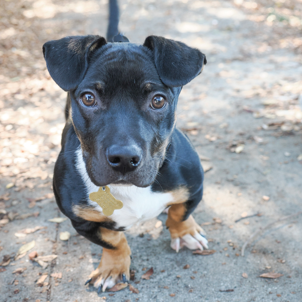ZUKO, photo 3