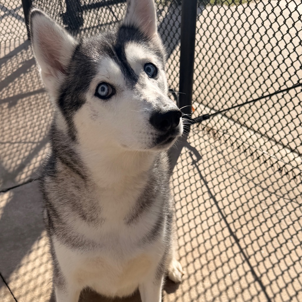 Maya, photo 4