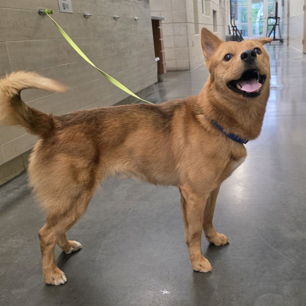 Photo of Bluegrass 6