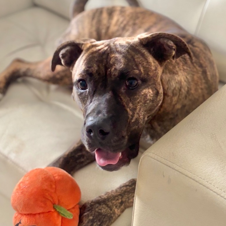 Another portrait of Jordan