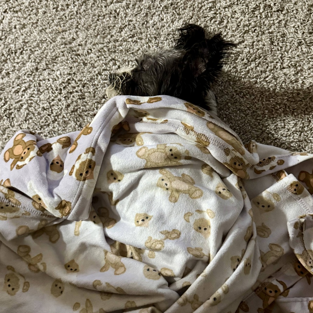 Sally, photo 19
