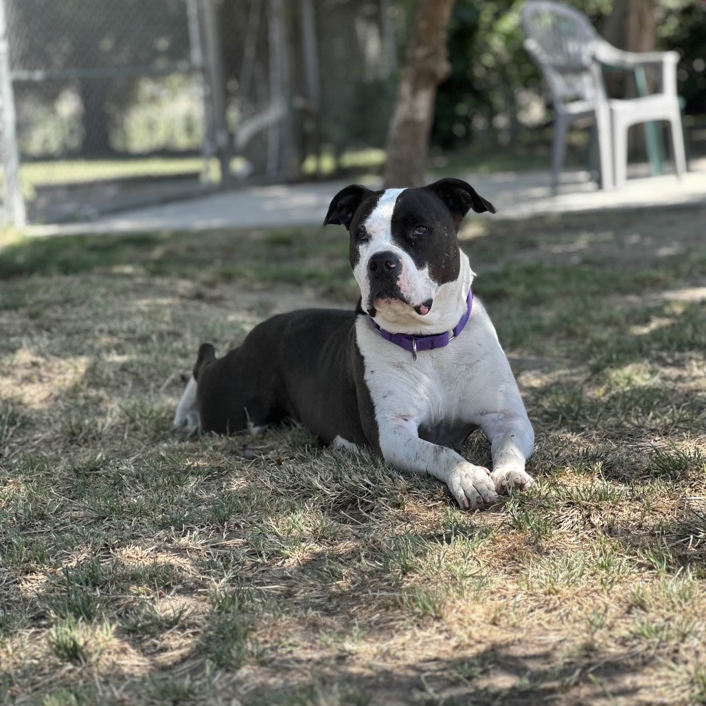 Sophia, photo 20