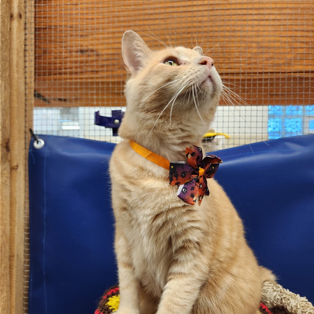 Sol, photo 23
