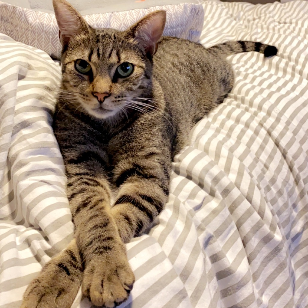 Zeus