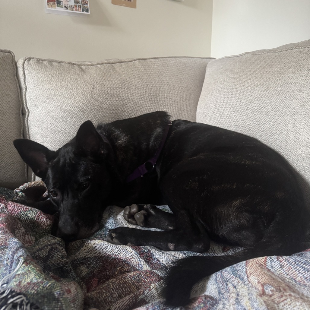 Photo of Catalina 24