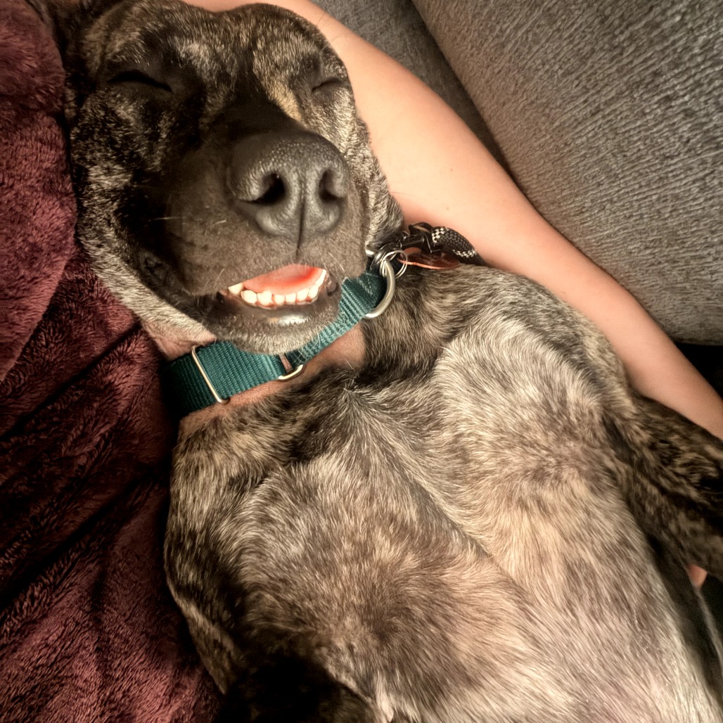 Denny