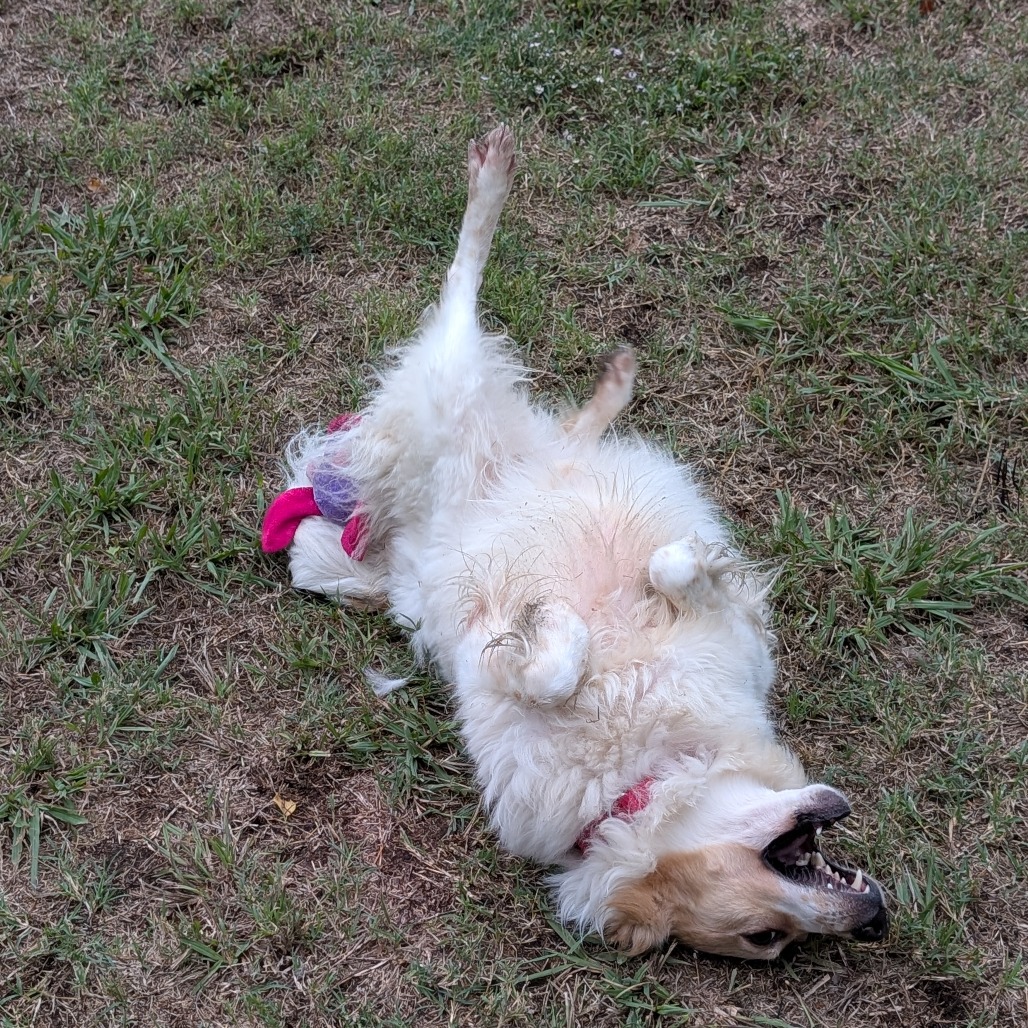 Sandy photo 37