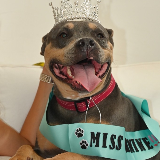 Another portrait of Mary Ann